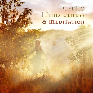 Обложка для Celtic Chillout Relaxation Academy - Harmony in Soul