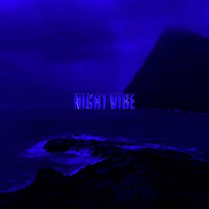 Обложка для DVXRK - Night Vibe