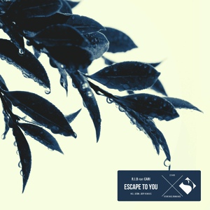 Обложка для DeeP HousE Live - R.I.B. cari-Escape to You (JSTDN Remix)
