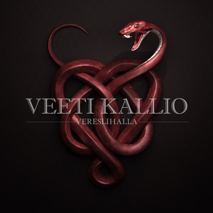 Обложка для Veeti Kallio - Vain Sinua