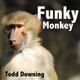 Обложка для Todd Downing - Funky Monkey