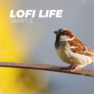 Обложка для SAMPLE - LOFI LIFE