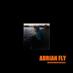 Обложка для adrian fly - Unrestrained Success