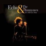 Обложка для Echo And The Bunnymen - Paint It Black
