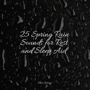 Обложка для Relaxation Sleep Meditation, Nature Sounds Collection, Rain Storm Sample Library - Raindrop Shower