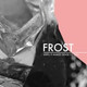 Обложка для FROST - Flicker