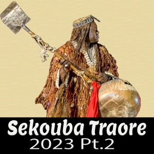 Обложка для Sekouba Traoré - Donso Foune Cissoko