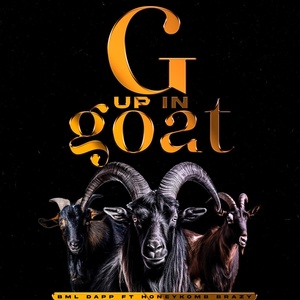 Обложка для BML Dapp feat. Honeykomb brazy - G up in Goat