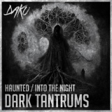Обложка для Dark Tantrums - Into The Night