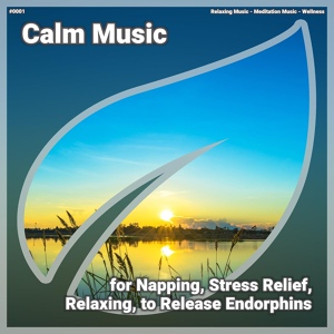 Обложка для Relaxing Music, Meditation Music, Wellness - Calm Music, Pt. 6