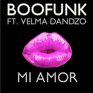 Обложка для Boofunk - Mi Amor