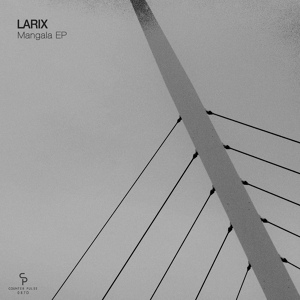 Обложка для Larix - Wiretap