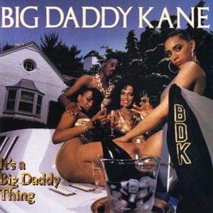 Обложка для Big Daddy Kane - Calling Mr. Welfare