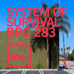 Обложка для System Of Survival - Nihil