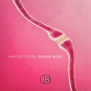 Обложка для Harold Steven - Fissure in the Paste