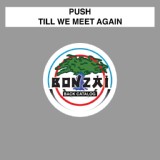 Обложка для Push - Till We Meet Again