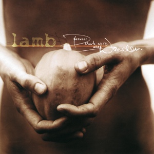 Обложка для Lamb - Darkness