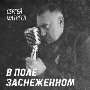 Обложка для Сергей Матвеев - В поле заснеженном