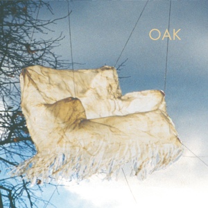 Обложка для Oak - A TV For Your Love