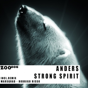 Обложка для Anders (BR) - Strong Spirit