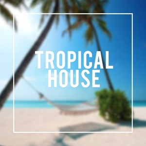 Обложка для Tropical House - Steady