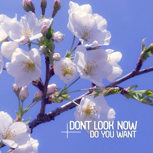 Обложка для Dont Look Now - Do You Want