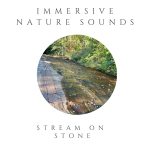 Обложка для Immersive Nature Sounds - Stream On Stone