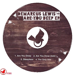 Обложка для Demarkus Lewis - Are You Deep (Original Mix)