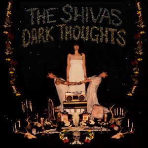 Обложка для The Shivas - Turn Me On