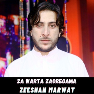 Обложка для Zeeshan Marwat - Za Warta Zaoregama