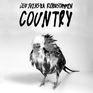 Обложка для Den svenska björnstammen - Country (feat. Maj Monet)