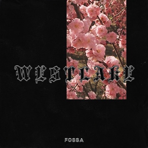 Обложка для Fossa Beats - Westlake Outro