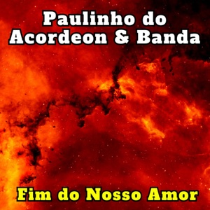 Обложка для Paulinho do Acordeon & Banda - Forró Solado