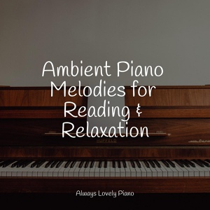 Обложка для Relajacion Piano, Calm Music for Studying, Study Music and Piano Music - Walk With Me