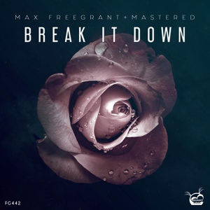 Обложка для Max Freegrant, Mastered - Break It Down