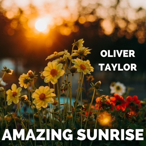 Обложка для Oliver Taylor - In Ogni Angolo