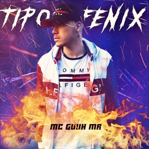 Обложка для mc guuh mr - Tipo Fenix