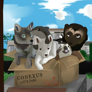 Обложка для Conexus - Change Your Life