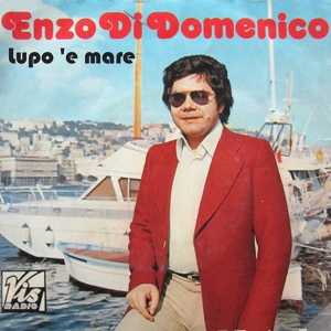 Обложка для Enzo Di Domenico feat. Orchestra Franco Chiaravalle - Spusalizio 'e marenaro