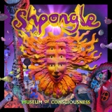 Обложка для Shpongle - The Epiphany of Mrs Kugla