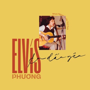 Обложка для Elvis Phương - Amour