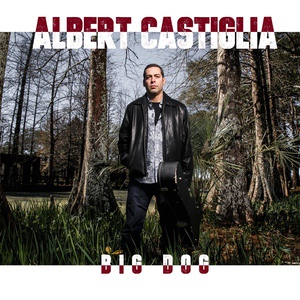 Обложка для Albert Castiglia - Somehow