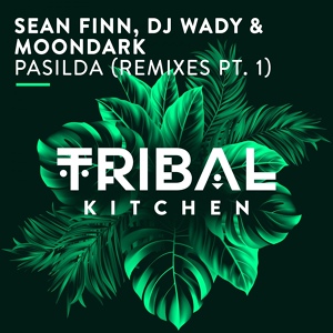 Обложка для DJ Wady, Sean Finn, MoonDark - Pasilda (DJ Kone & Marc Palacios Remix)