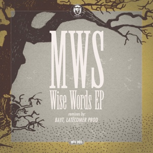 Обложка для MWS - Wise Words