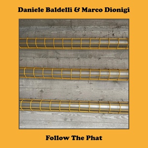 Обложка для Daniele Baldelli, marco dionigi - Follow the Path