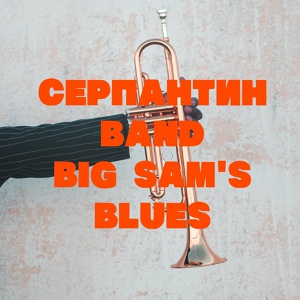 Обложка для Cерпантин Band - Ночь