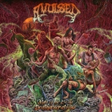 Обложка для Avulsed - Breaking Hymens