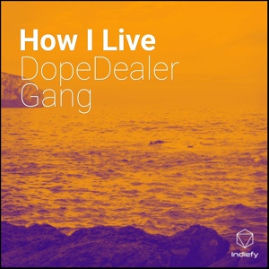 Обложка для DopeDealer Gang - How I Live