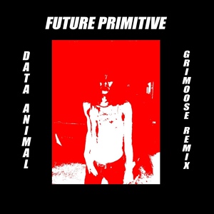 Обложка для Data Animal - Future Primitive