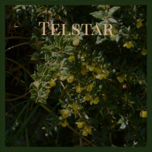 Обложка для Ronnie Hawkins - Telstar